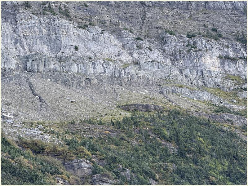 Click to view picture at full resolution