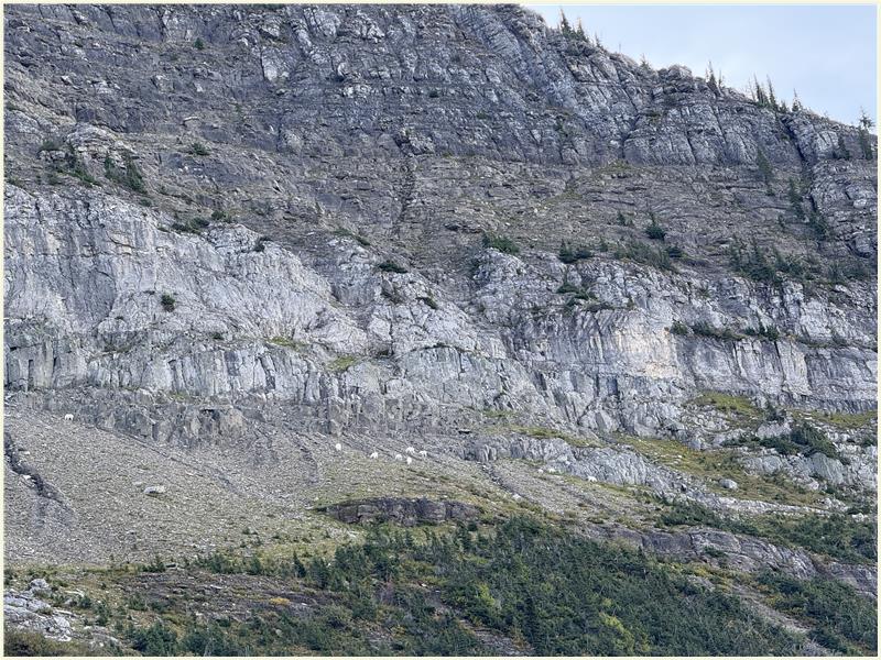 Click to view picture at full resolution