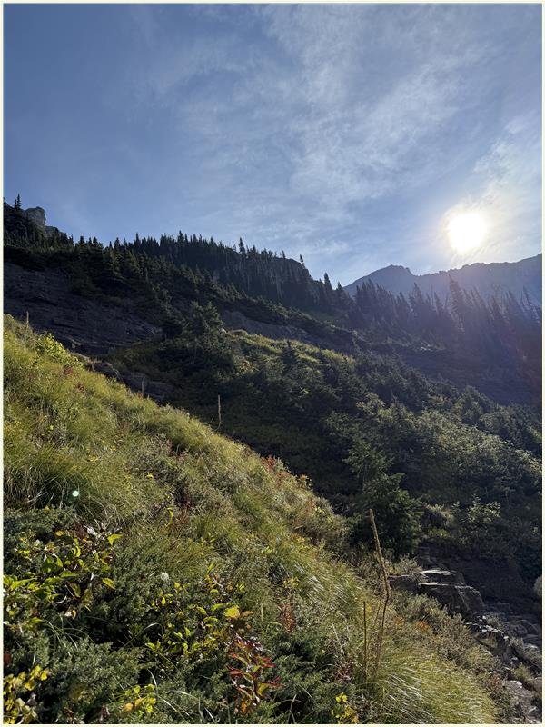 Click to view picture at full resolution