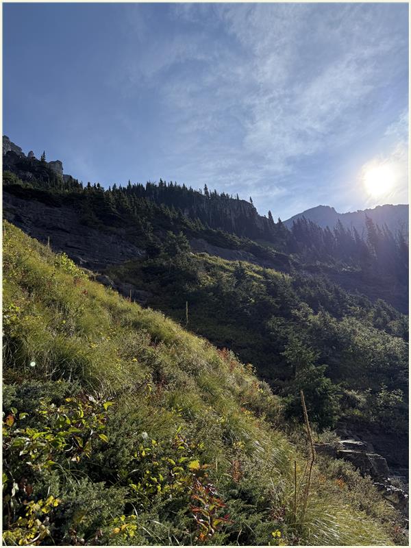 Click to view picture at full resolution