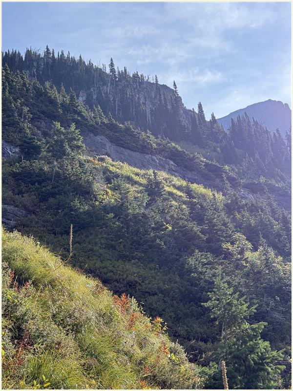 Click to view picture at full resolution