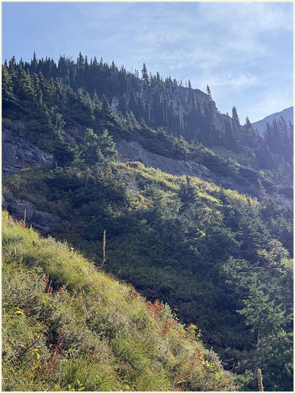 Click to view picture at full resolution