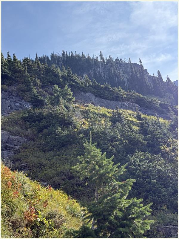 Click to view picture at full resolution