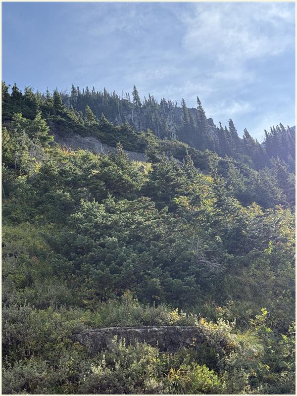 Click to view picture at full resolution