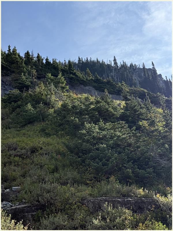 Click to view picture at full resolution