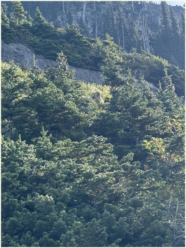 Click to view picture at full resolution