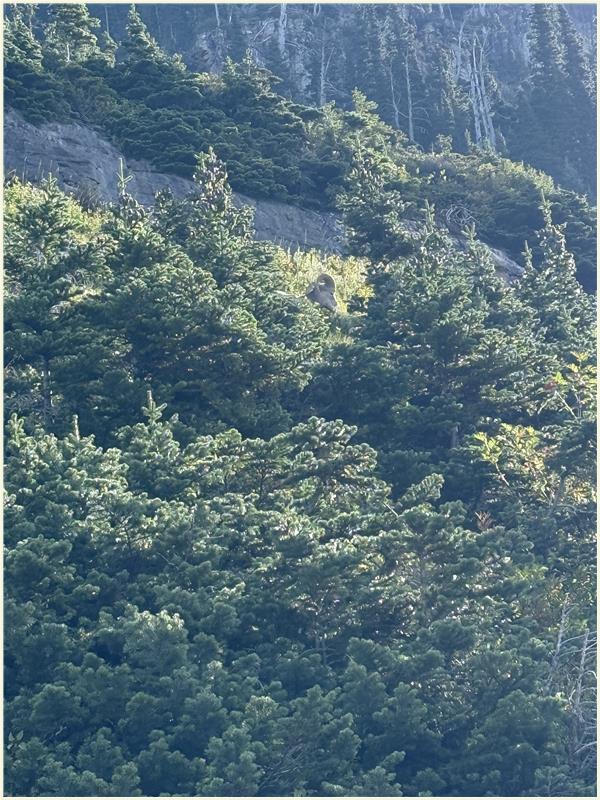 Click to view picture at full resolution