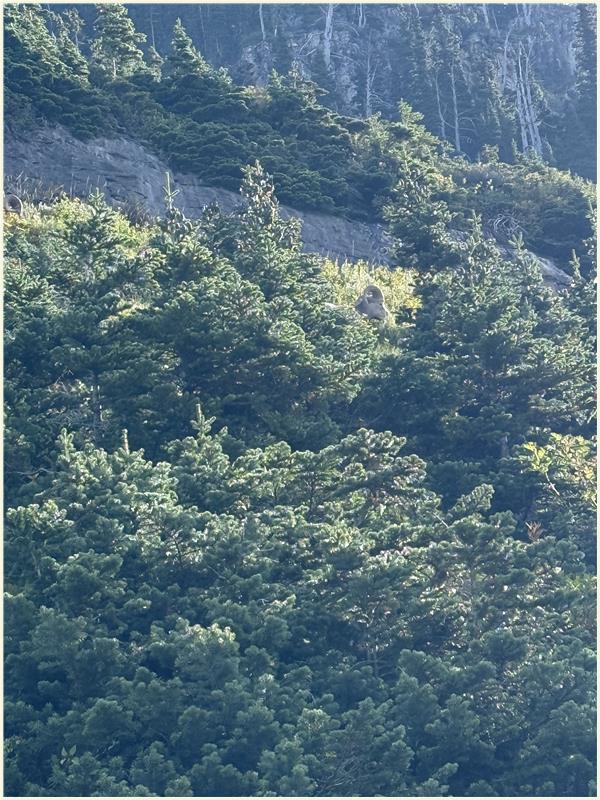 Click to view picture at full resolution