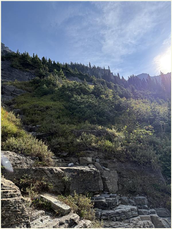 Click to view picture at full resolution