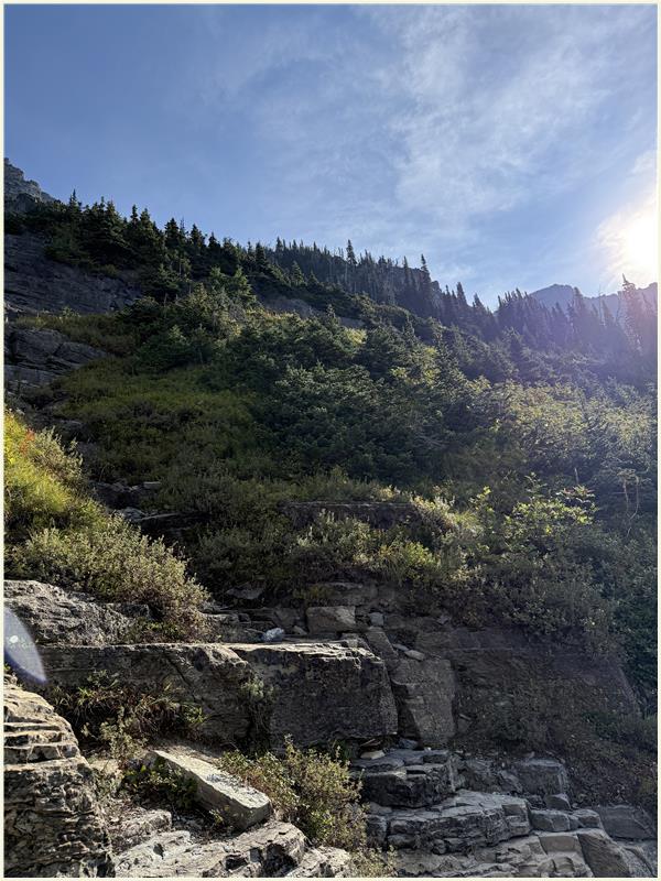 Click to view picture at full resolution