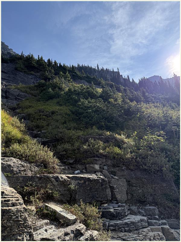 Click to view picture at full resolution