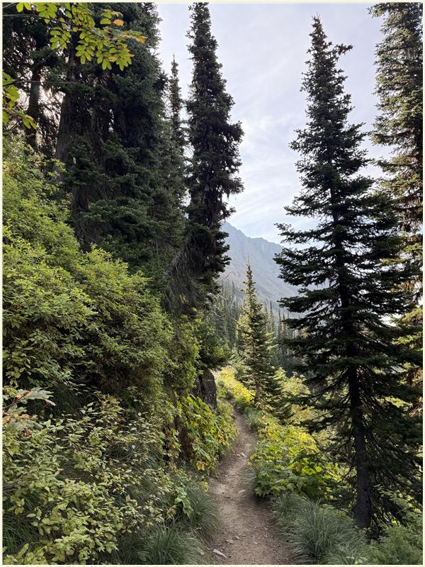 Click to view picture at full resolution