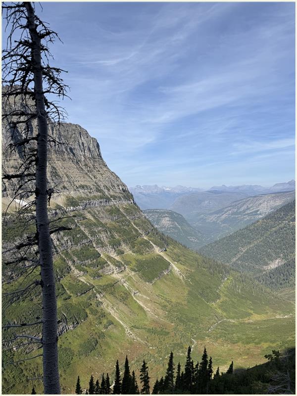 Click to view picture at full resolution