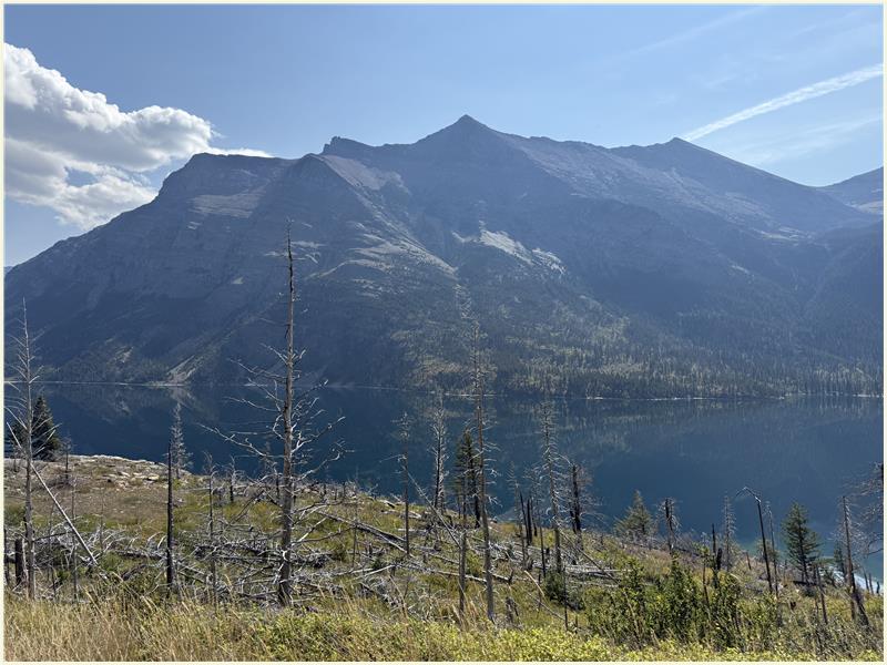 Click to view picture at full resolution