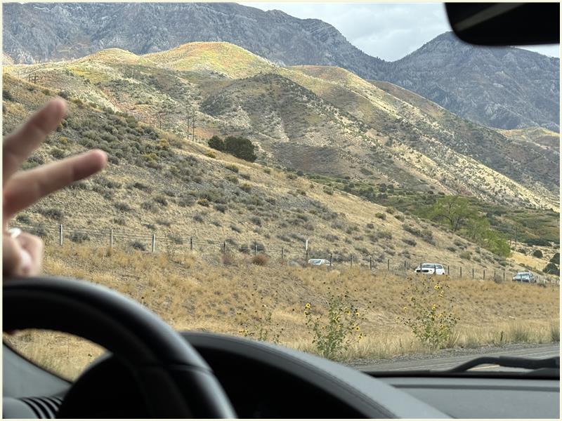 Click to view picture at full resolution