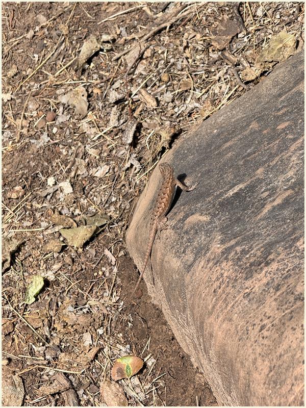 Click to view picture at full resolution