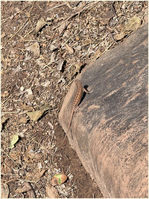 Click to view picture at full resolution