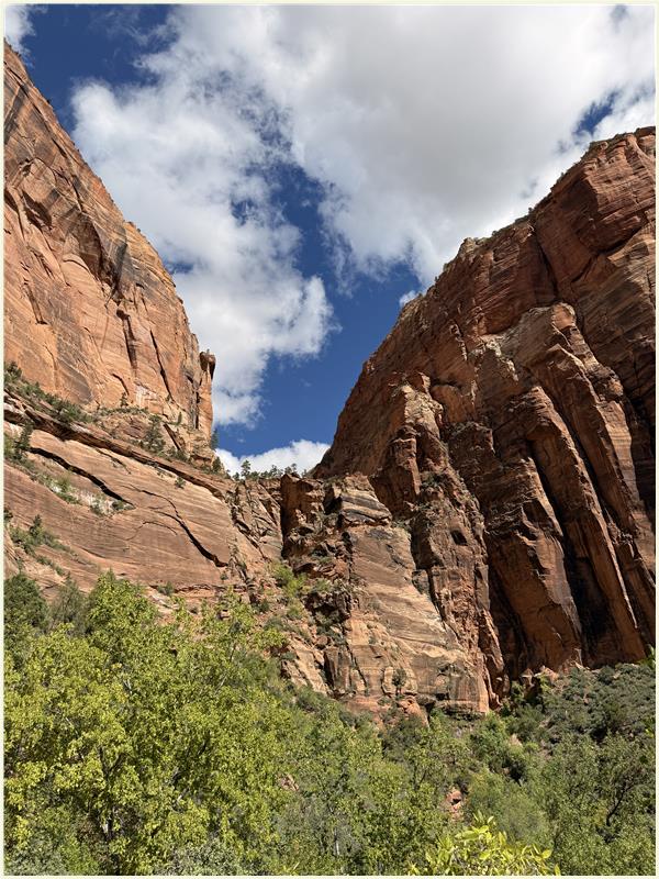 Click to view picture at full resolution