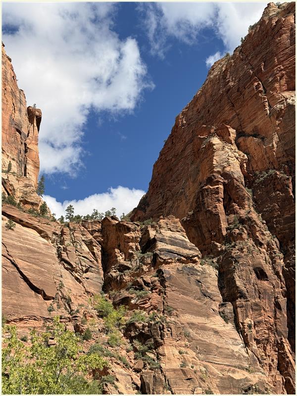 Click to view picture at full resolution