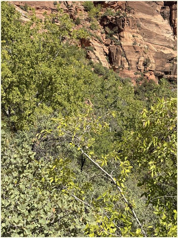 Click to view picture at full resolution