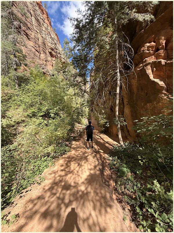 Click to view picture at full resolution