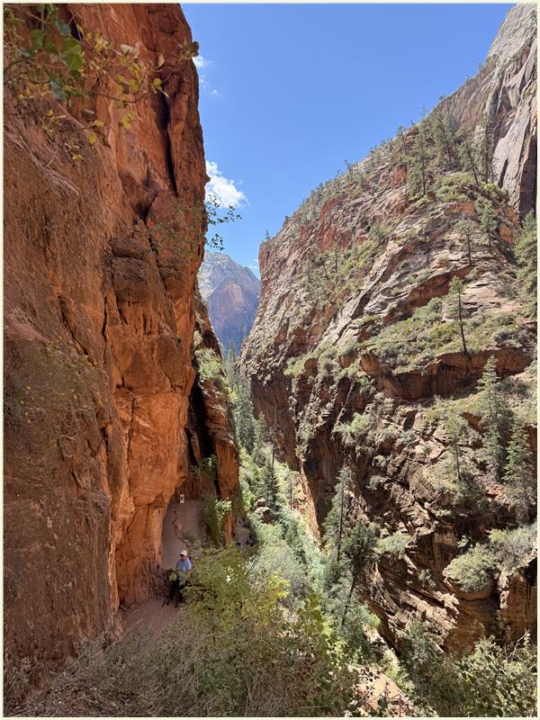 Click to view picture at full resolution