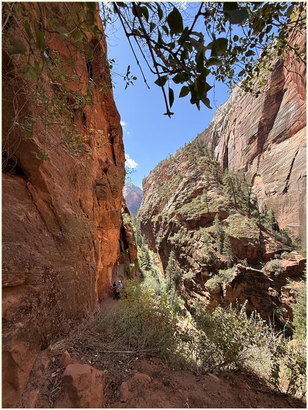 Click to view picture at full resolution