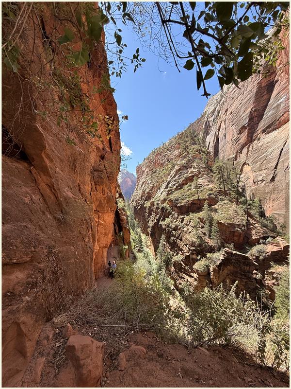 Click to view picture at full resolution