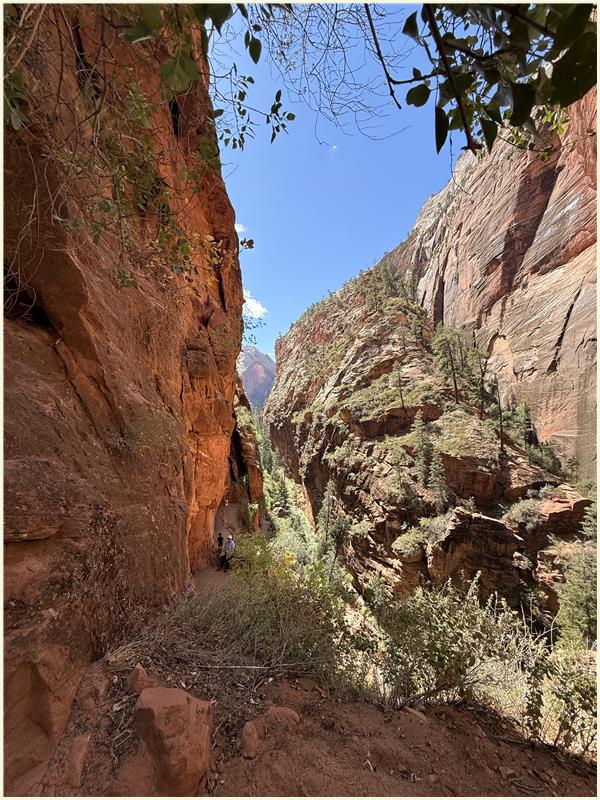 Click to view picture at full resolution