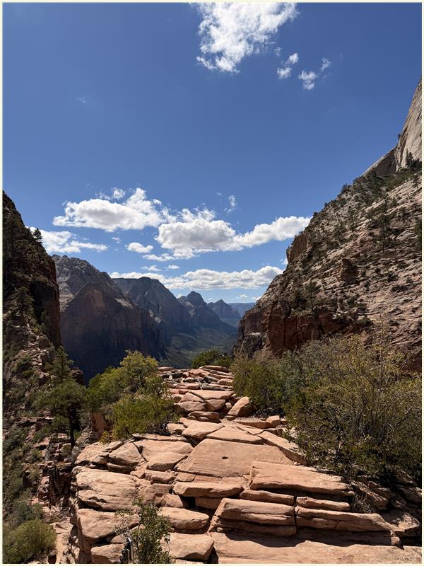 Click to view picture at full resolution