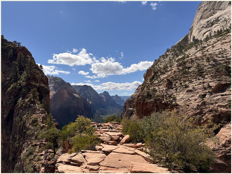 Click to view picture at full resolution