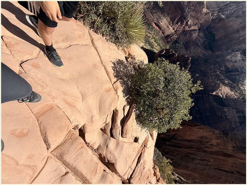 Click to view picture at full resolution