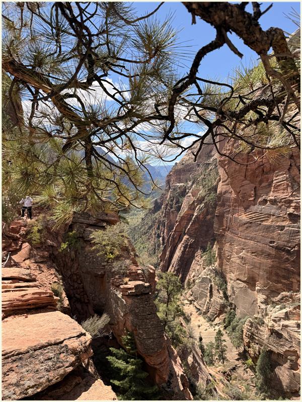 Click to view picture at full resolution