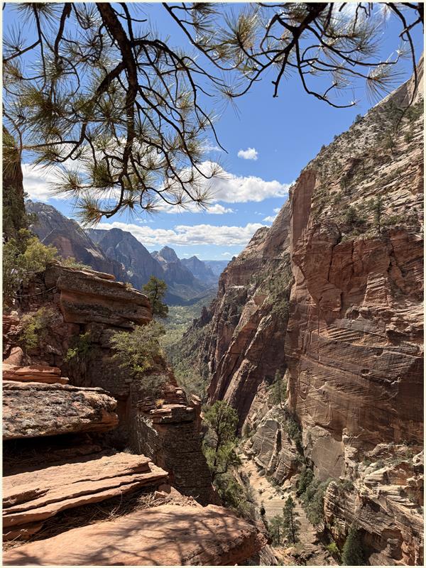 Click to view picture at full resolution