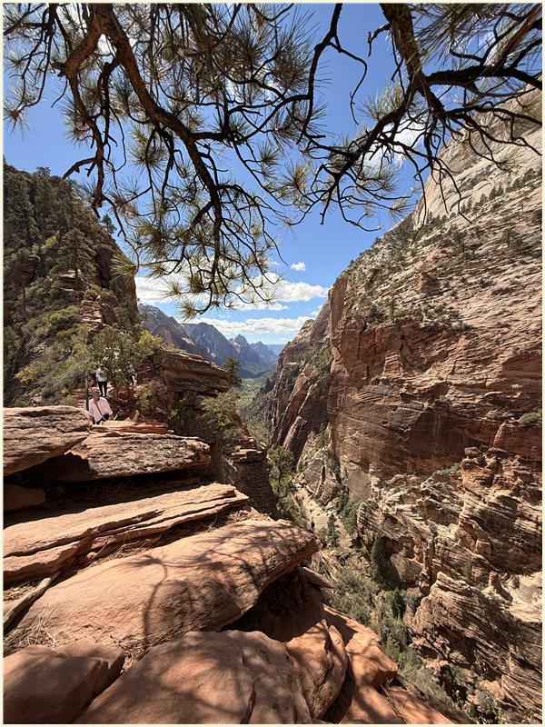 Click to view picture at full resolution