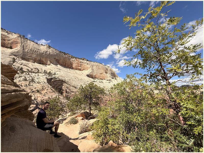 Click to view picture at full resolution