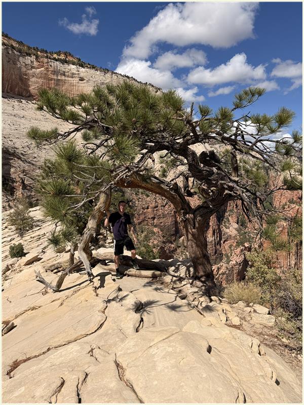 Click to view picture at full resolution