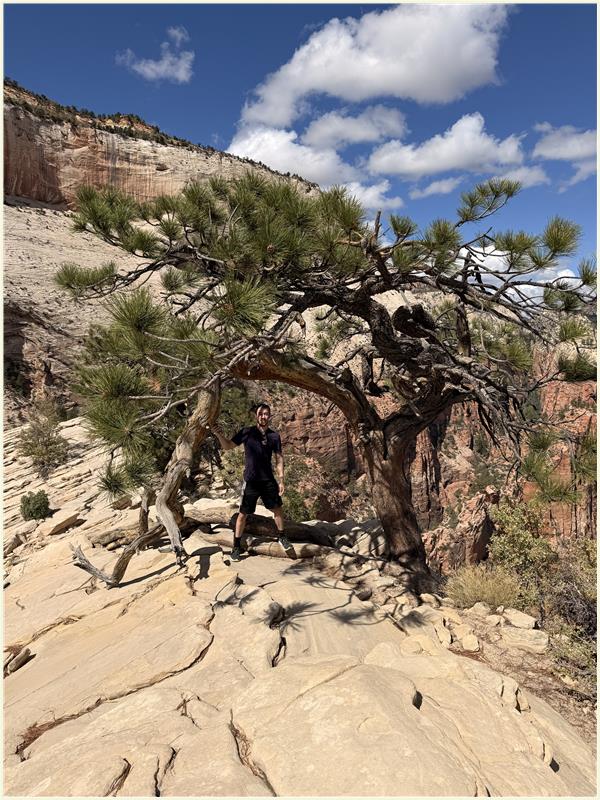 Click to view picture at full resolution