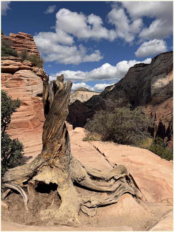 Click to view picture at full resolution