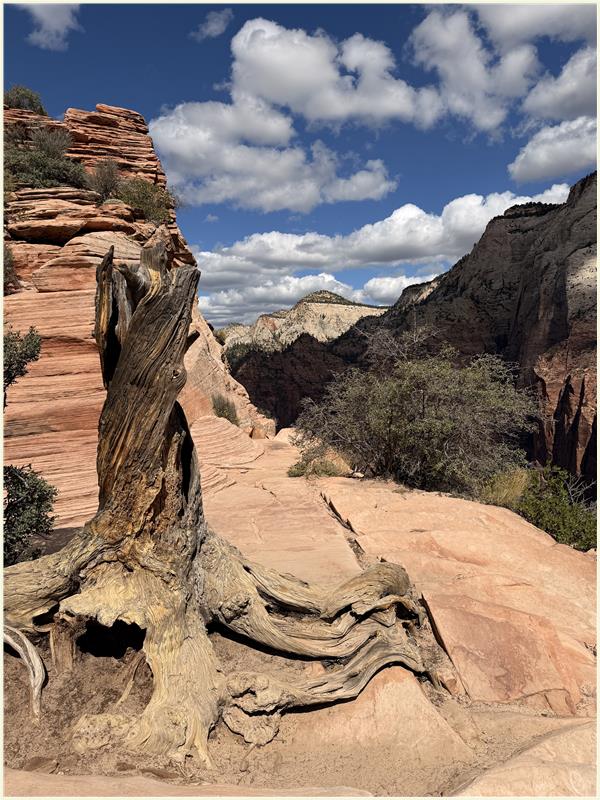 Click to view picture at full resolution