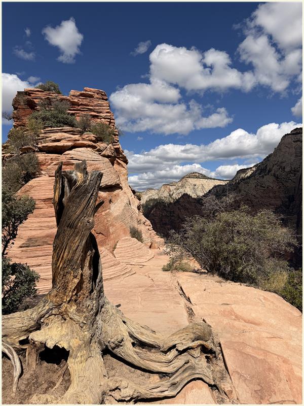 Click to view picture at full resolution