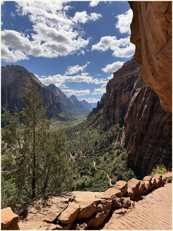 Click to view picture at full resolution