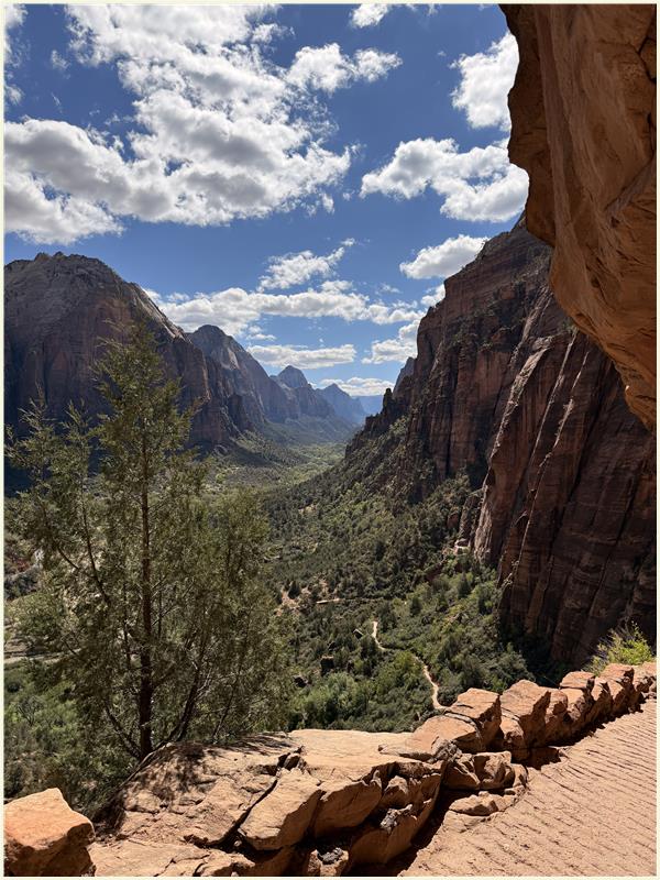 Click to view picture at full resolution