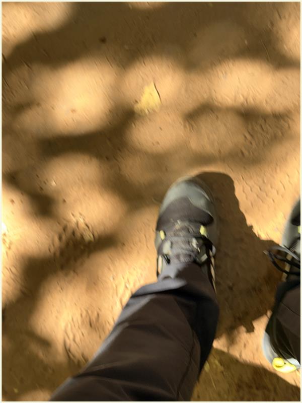 Click to view picture at full resolution