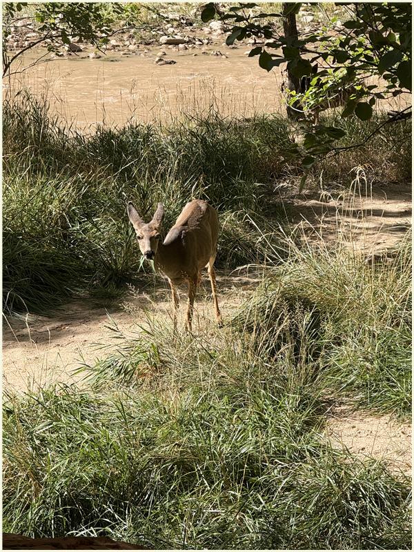 Click to view picture at full resolution