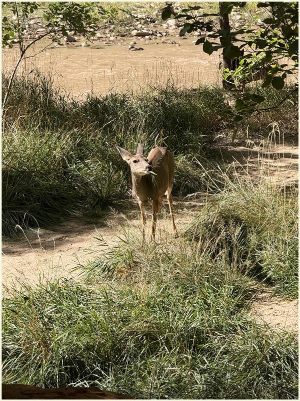 Click to view picture at full resolution