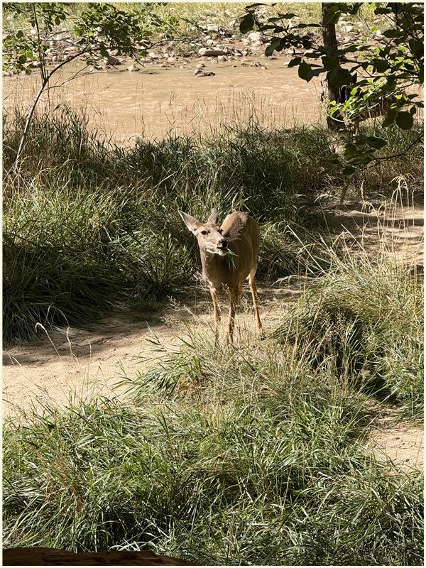 Click to view picture at full resolution