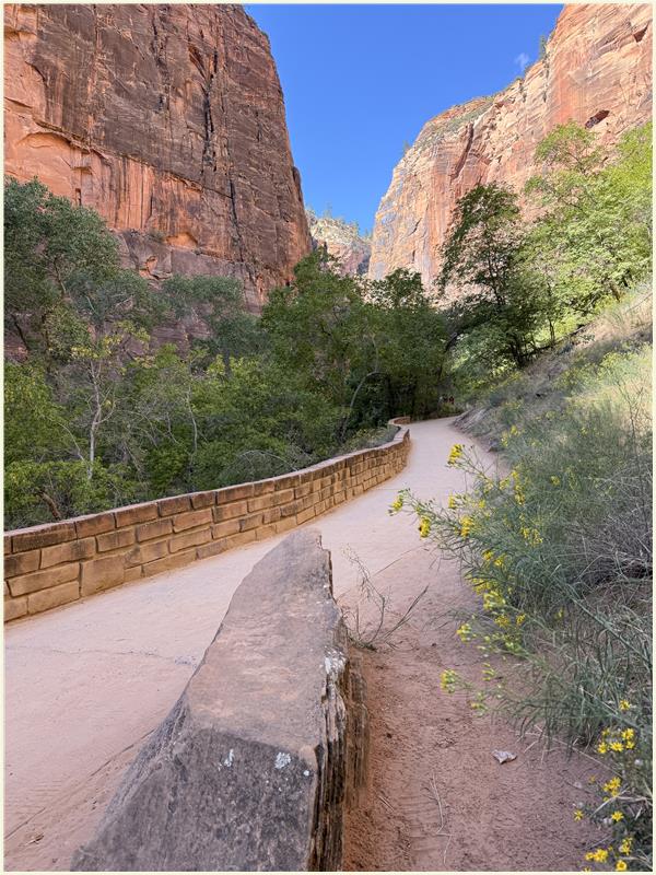 Click to view picture at full resolution