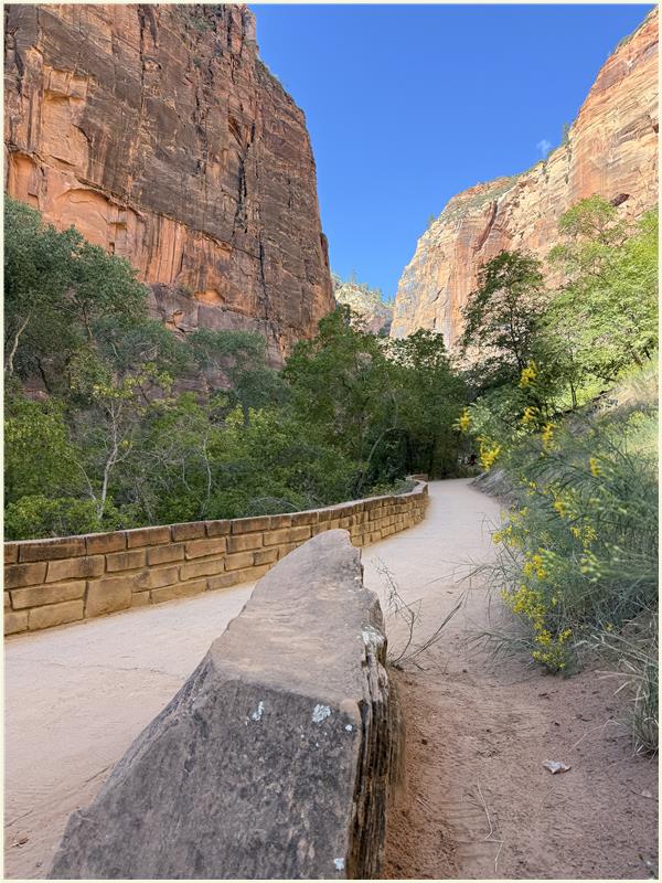 Click to view picture at full resolution