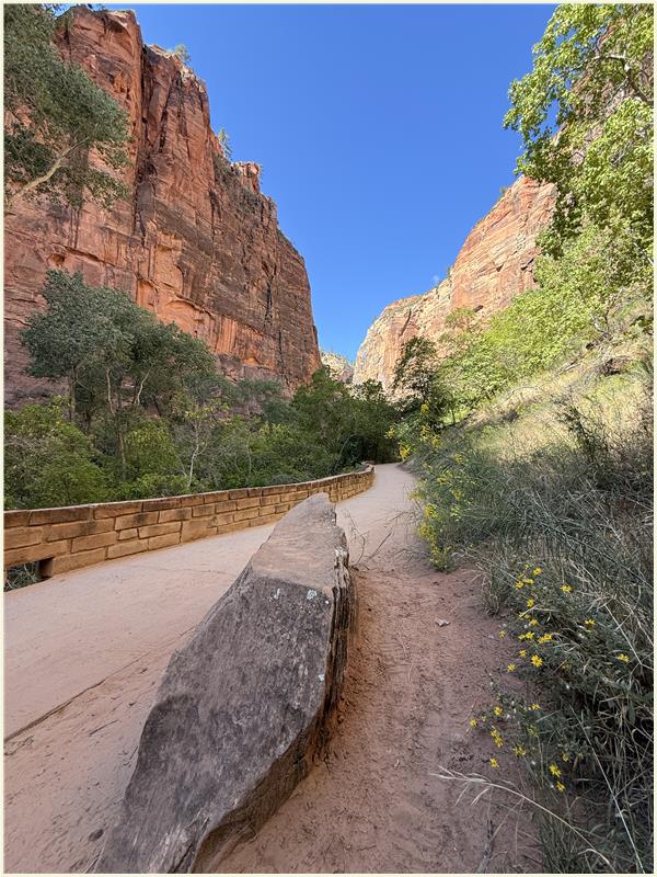 Click to view picture at full resolution